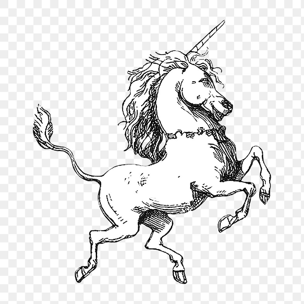 Vintage unicorn illustration transparent png