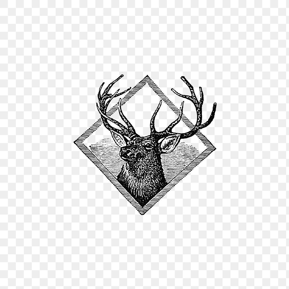 PNG Vintage European style deer head framed, transparent background