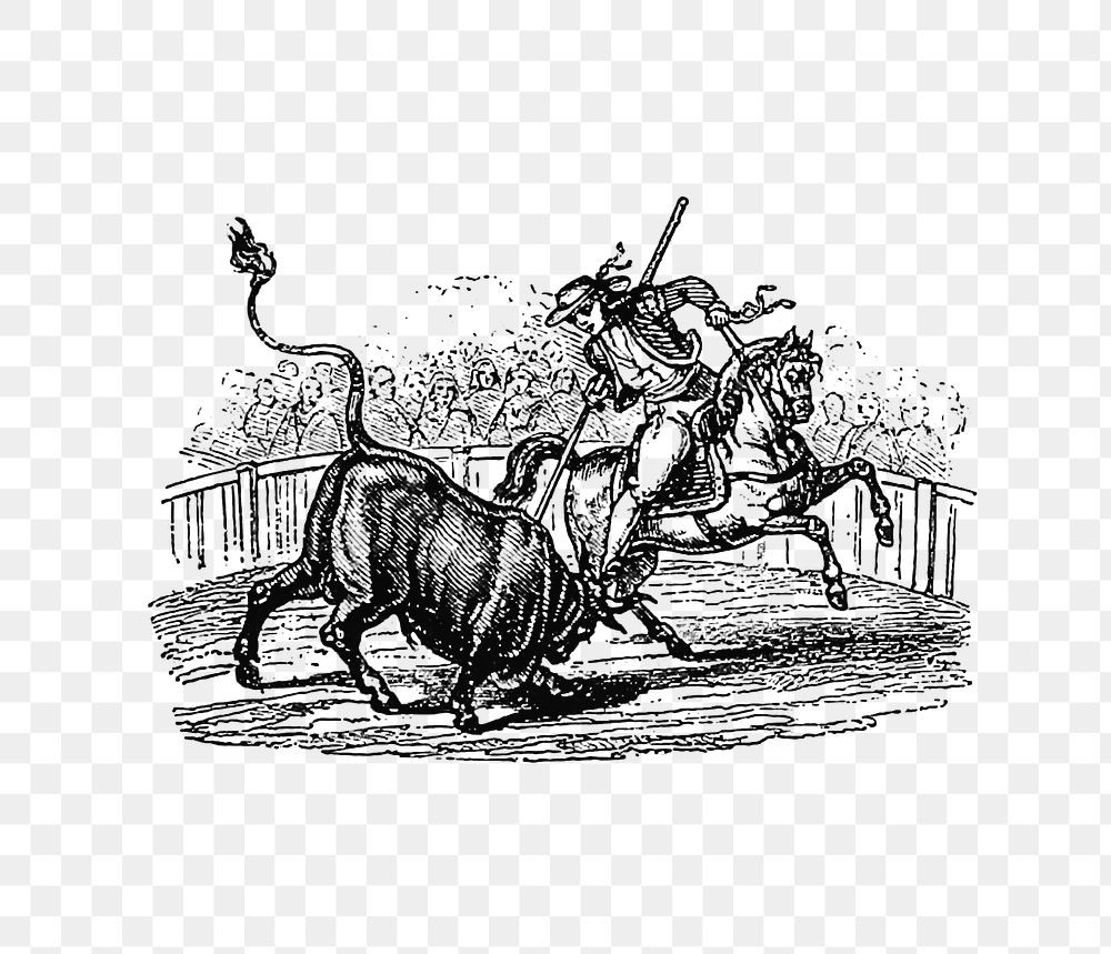 Drawing of a  bullfight