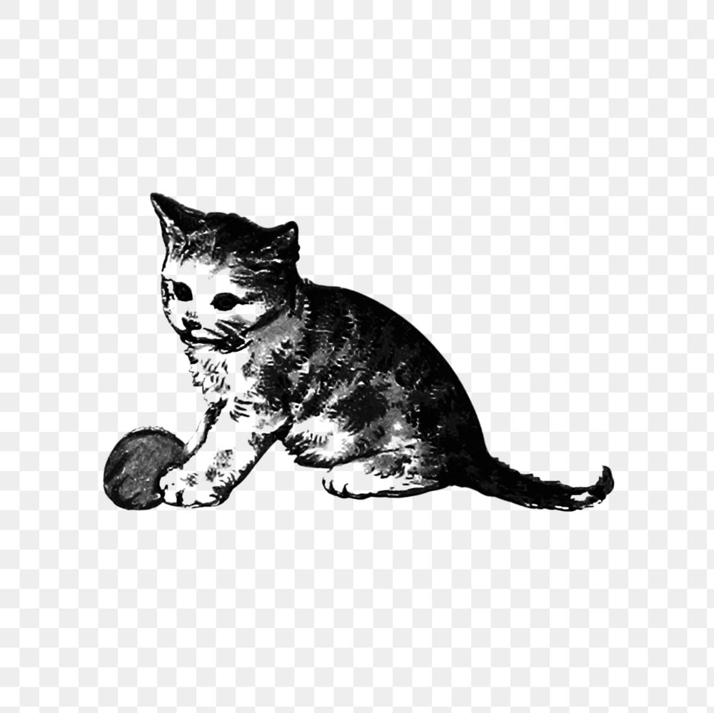 PNG Drawing of a kitten, transparent background