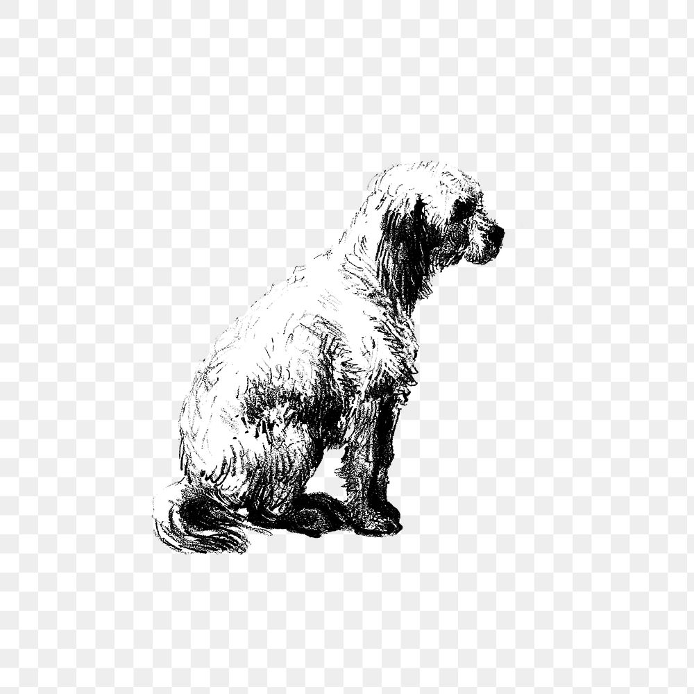 PNG Vintage European style dog engraving, transparent background