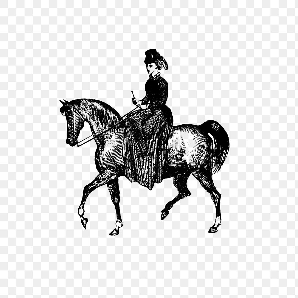 PNG Vintage European style horseback riding engraving, transparent background
