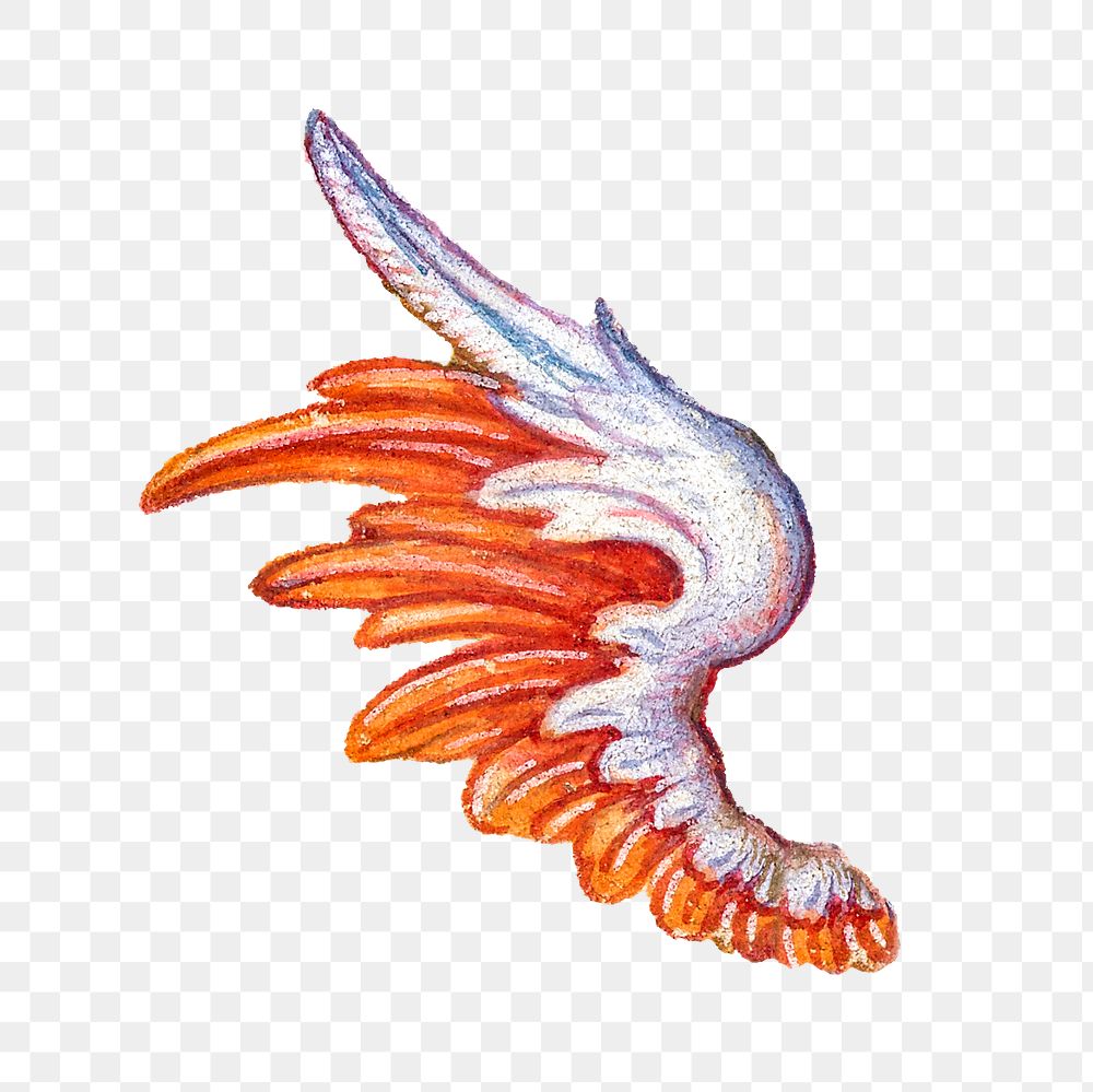 Mythical wing png painting ornament