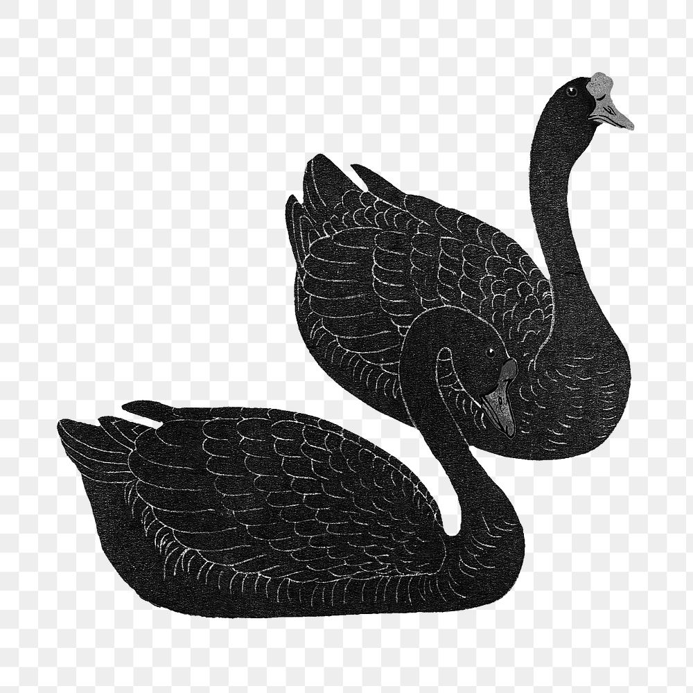 Black geese couple design element