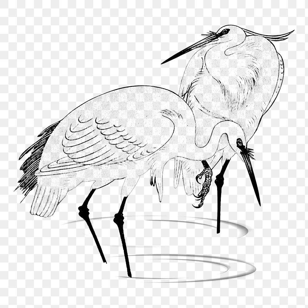 Two egret birds line art design element