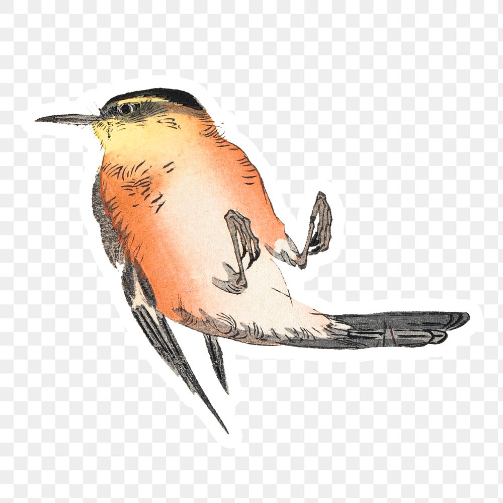 Vintage illustration of a songbird sticker design element