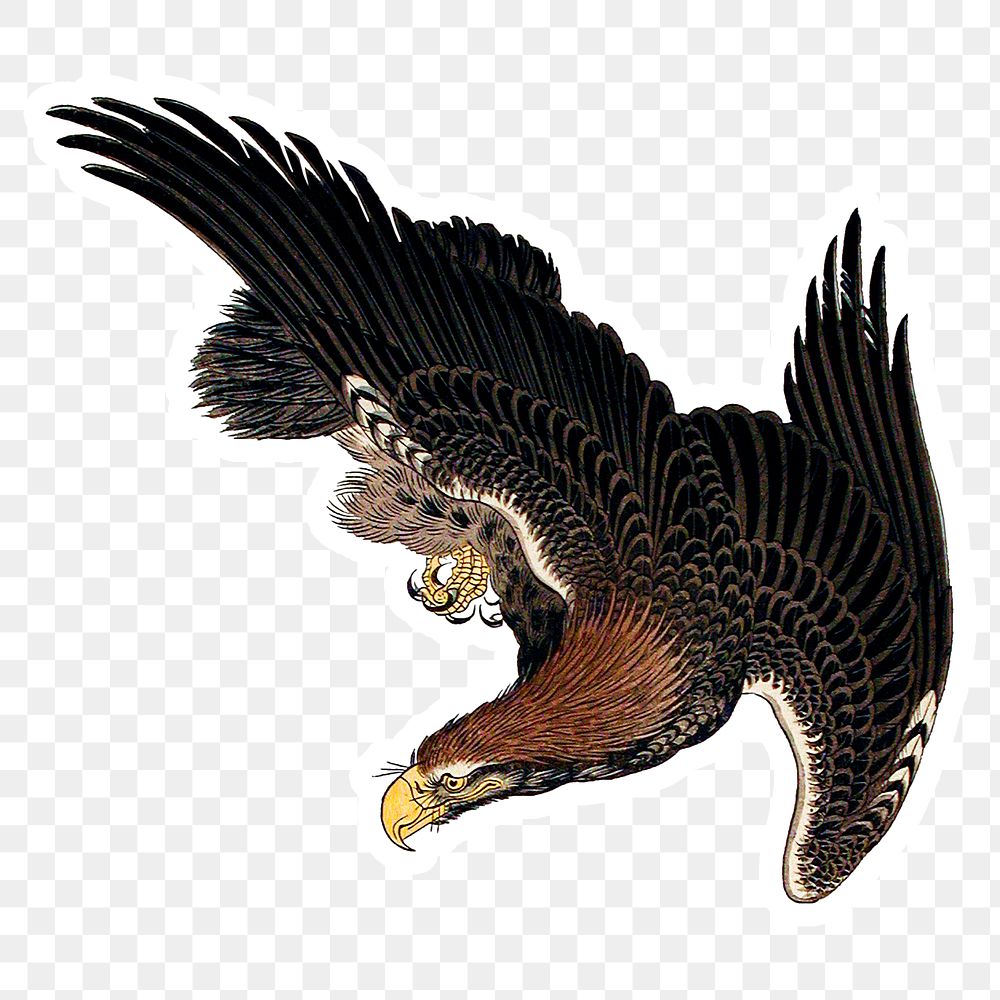 Vintage illustration of flying eagles sticker design element