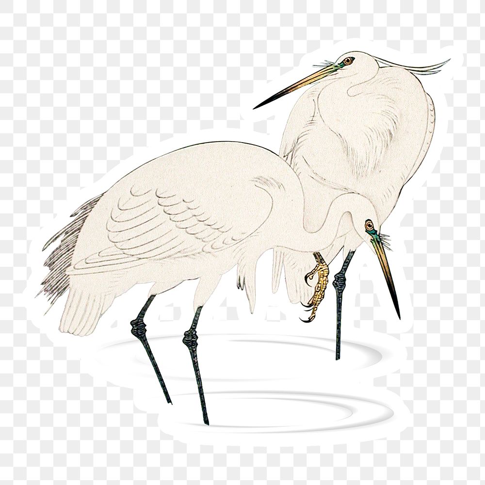 Egret birds sticker with a white border design element