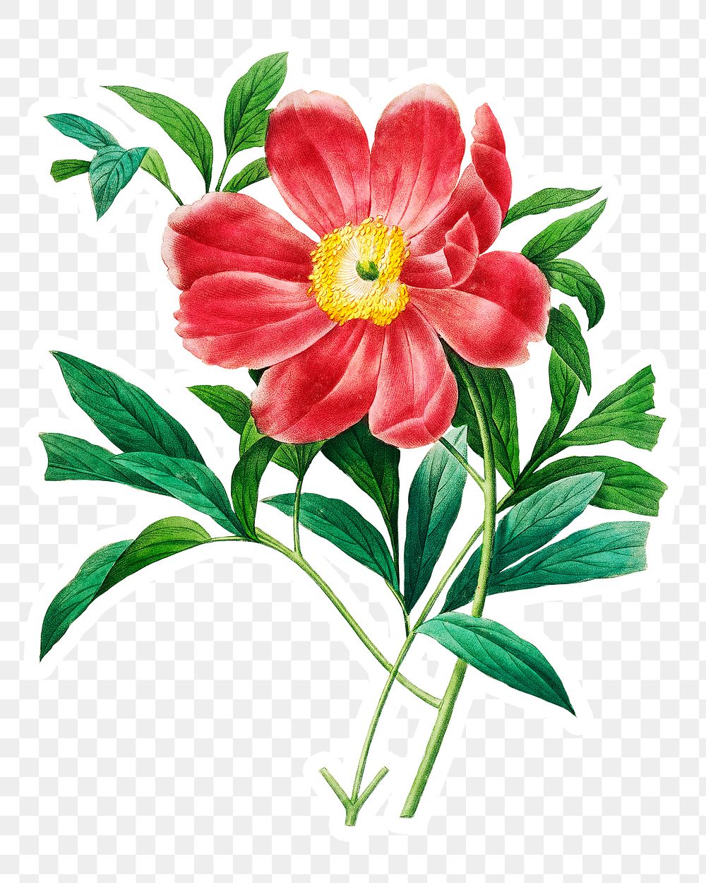 Red peony sticker over design element 