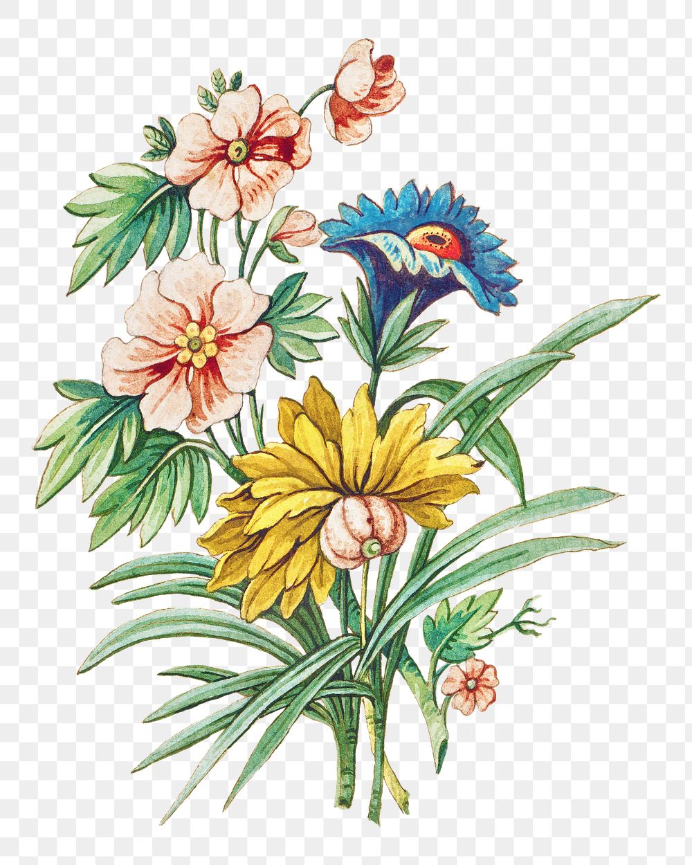 Vintage blooming colorful flower branch design element