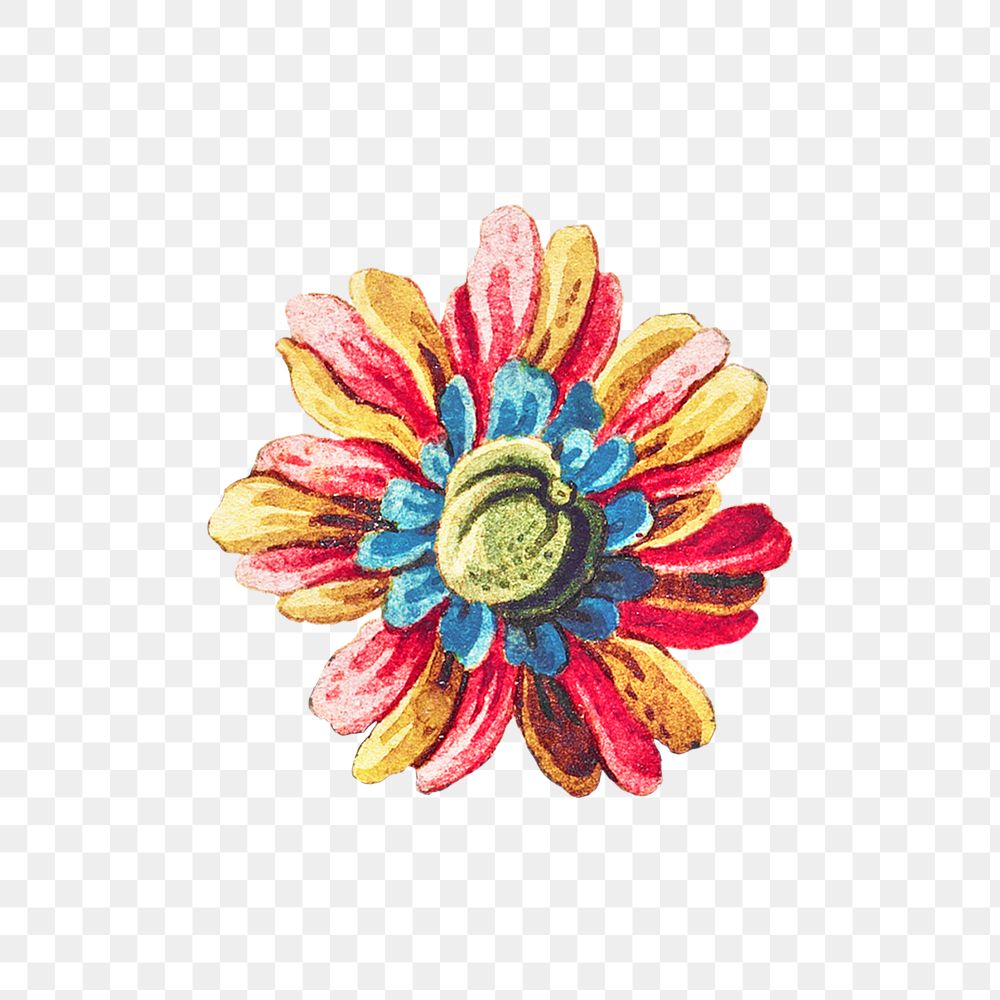 Vintage blooming colorful flower design element
