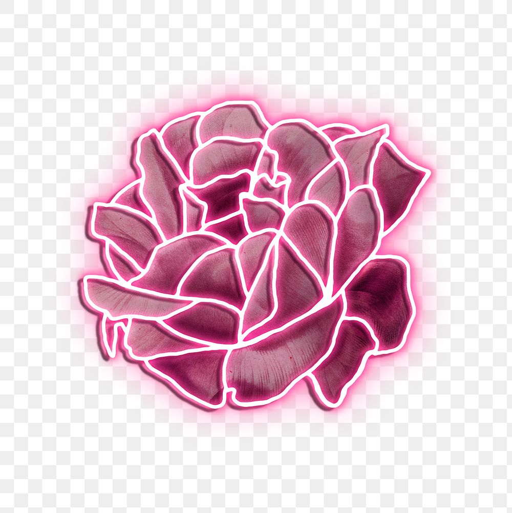 Neon pink rose transparent png