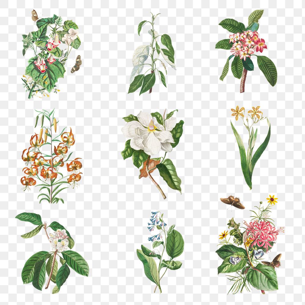 Vintage floral collection design elements