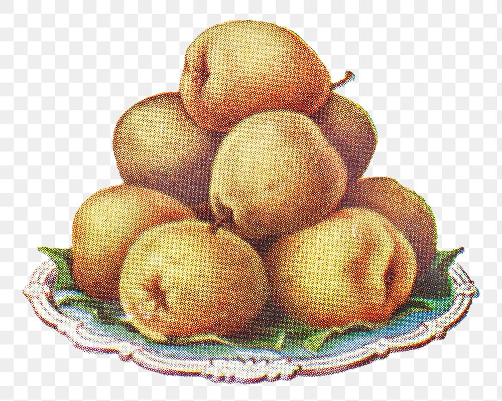 Vintage hand drawn pears design element