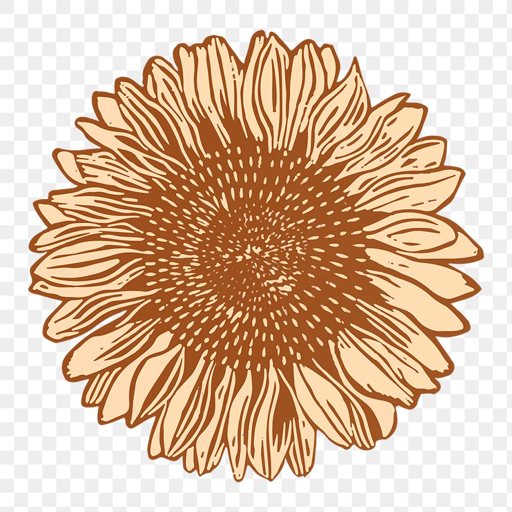 Vintage sunflower png art print illustration, remix from artworks by Samuel Jessurun de Mesquita
