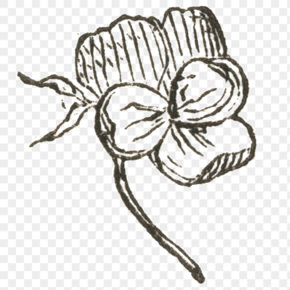 Engraving png flower vintage icon drawing
