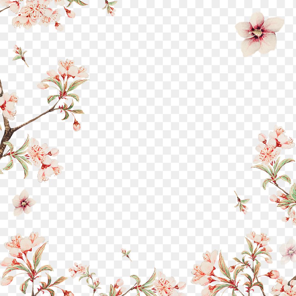 Vintage Japanese png floral frame peach blossoms and hibiscus art print, remix from artworks by Megata Morikaga