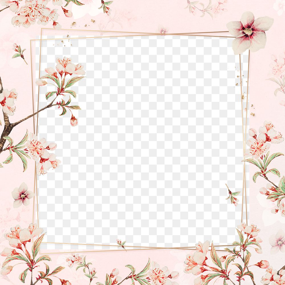 Vintage Japanese png floral frame cherry blossom and hibiscus art print, remix from artworks by Megata Morikaga