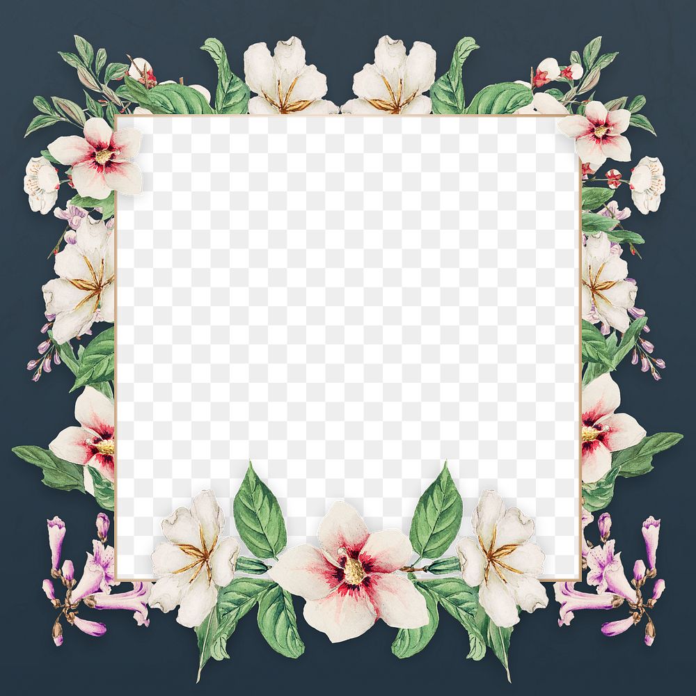 Vintage Japanese png floral frame art print, remix from artworks by Megata Morikaga