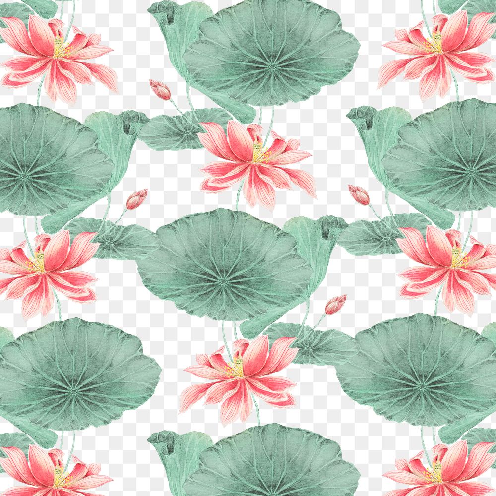 Lotus seamless pattern transparent botanical background, remix from artworks by Megata Morikaga