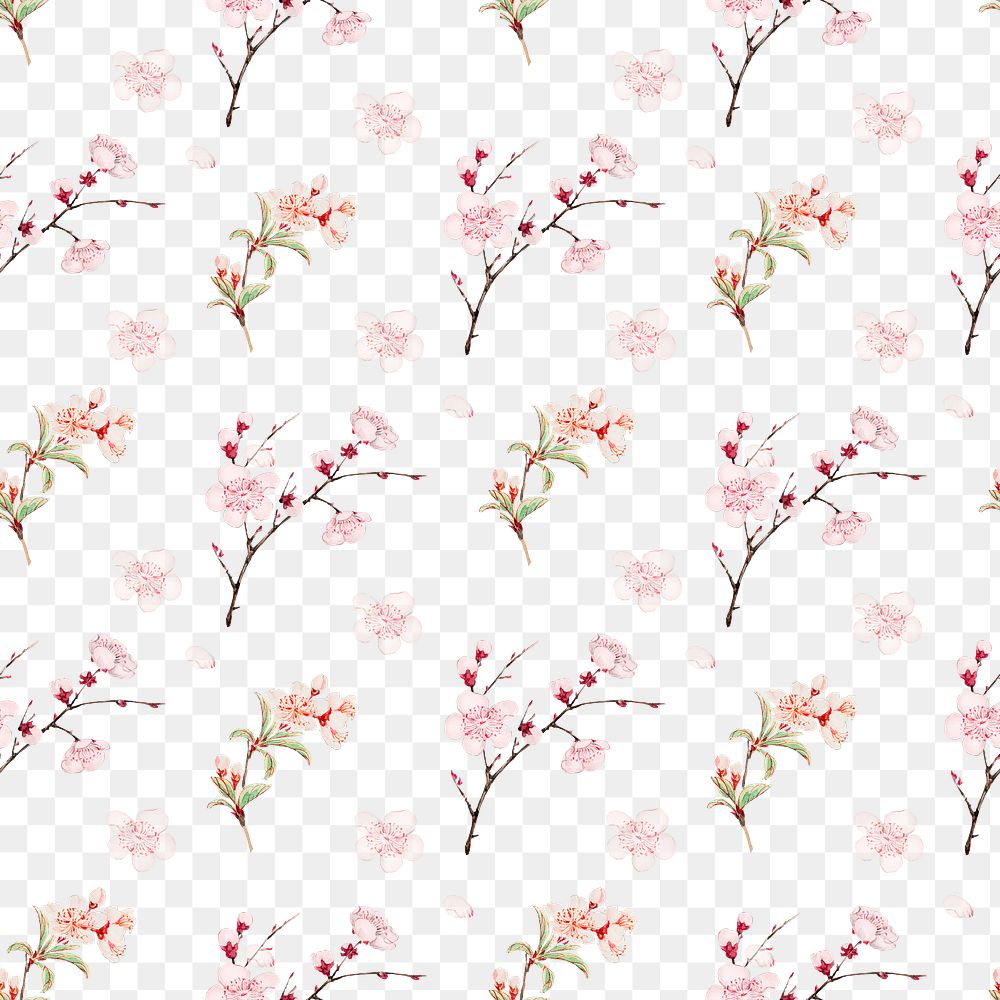 Plum blossom seamless pattern transparent background, remix from artworks by Megata Morikaga
