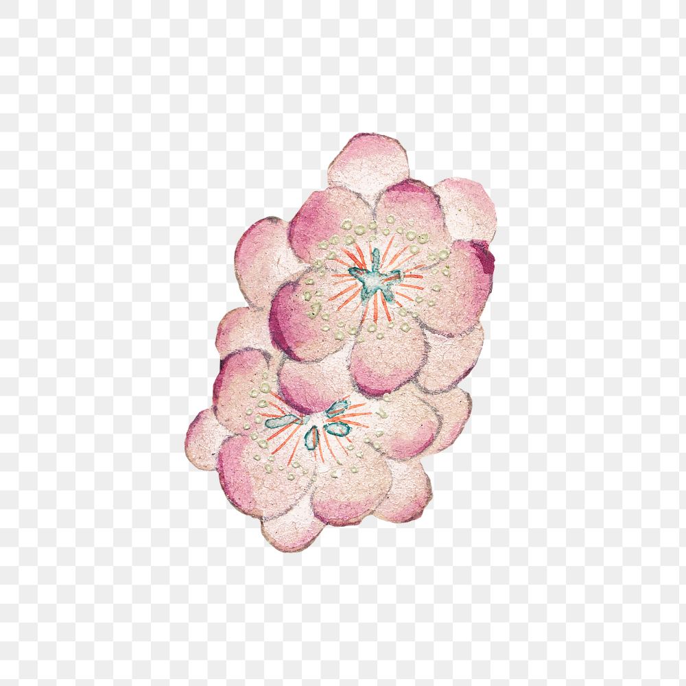 Vintage plum blossom png sticker, remix from artworks by Zhang Ruoai
