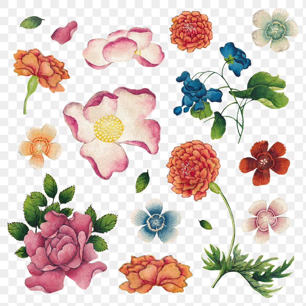 Vintage Chinese flower png set, remix from artworks by Zhang Ruoai