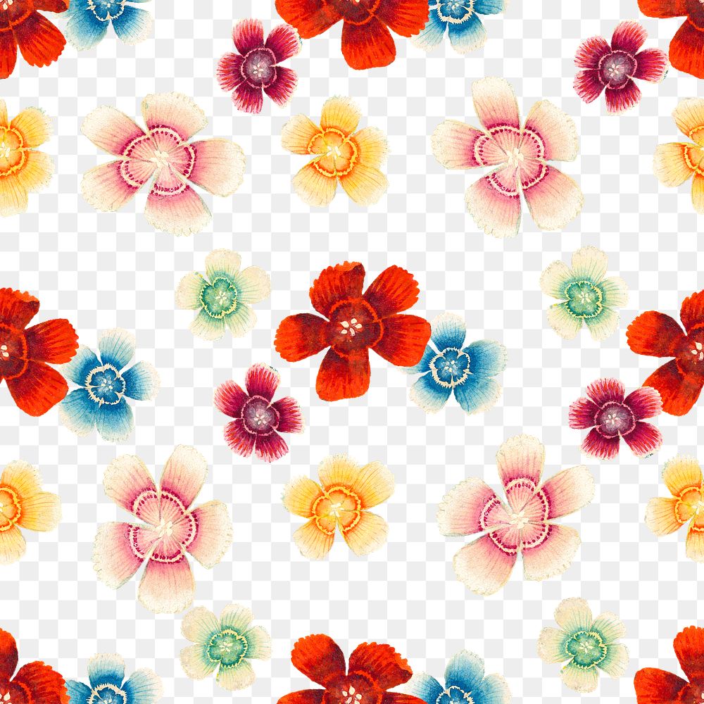Floral seamless pattern png Sweet William transparent background, remix from artworks by Zhang Ruoai