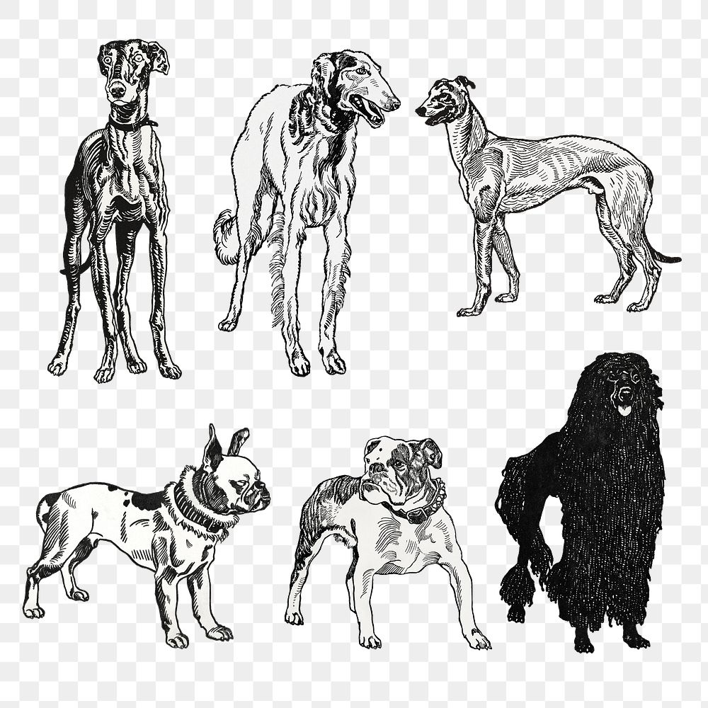 Png dog breed vintage illustration set, remixed from artworks by Moriz Jung