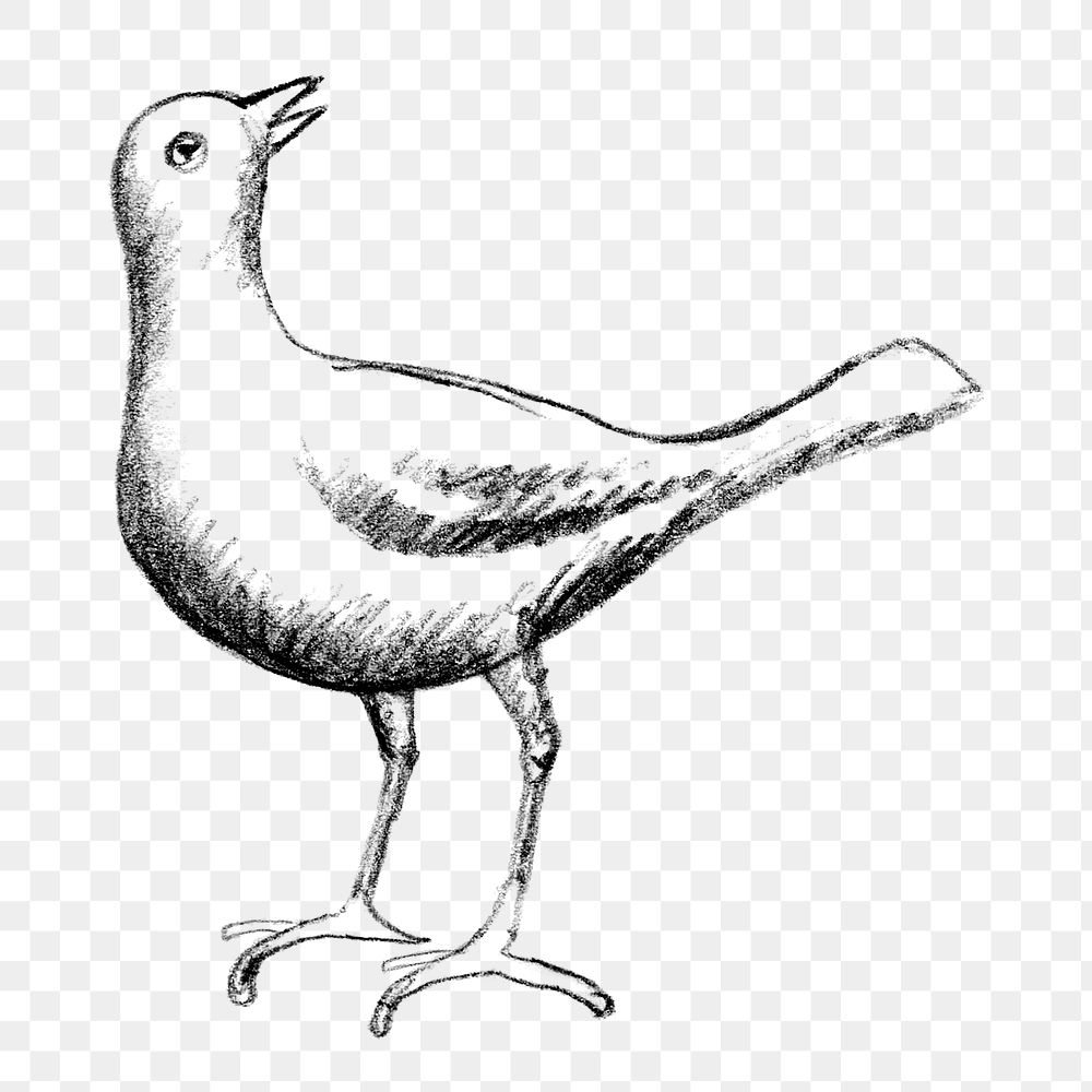 Pigeon png vintage drawing, remixed from artworks from Leo Gestel