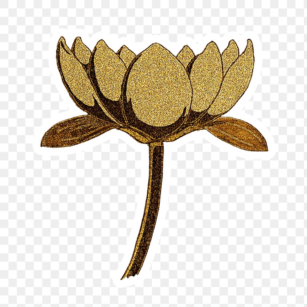 Vintage gold water lily flower sticker with white border design element