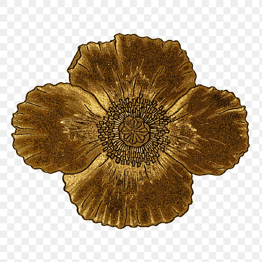 Vintage gold poppy flower transparent png design element