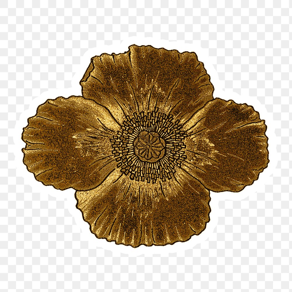 Vintage gold poppy flower sticker with white border design element