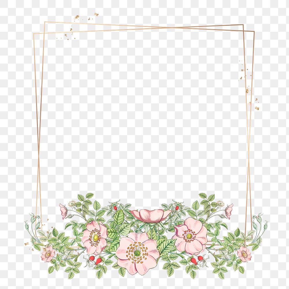 Vintage wild rose flower frame transparent png design element
