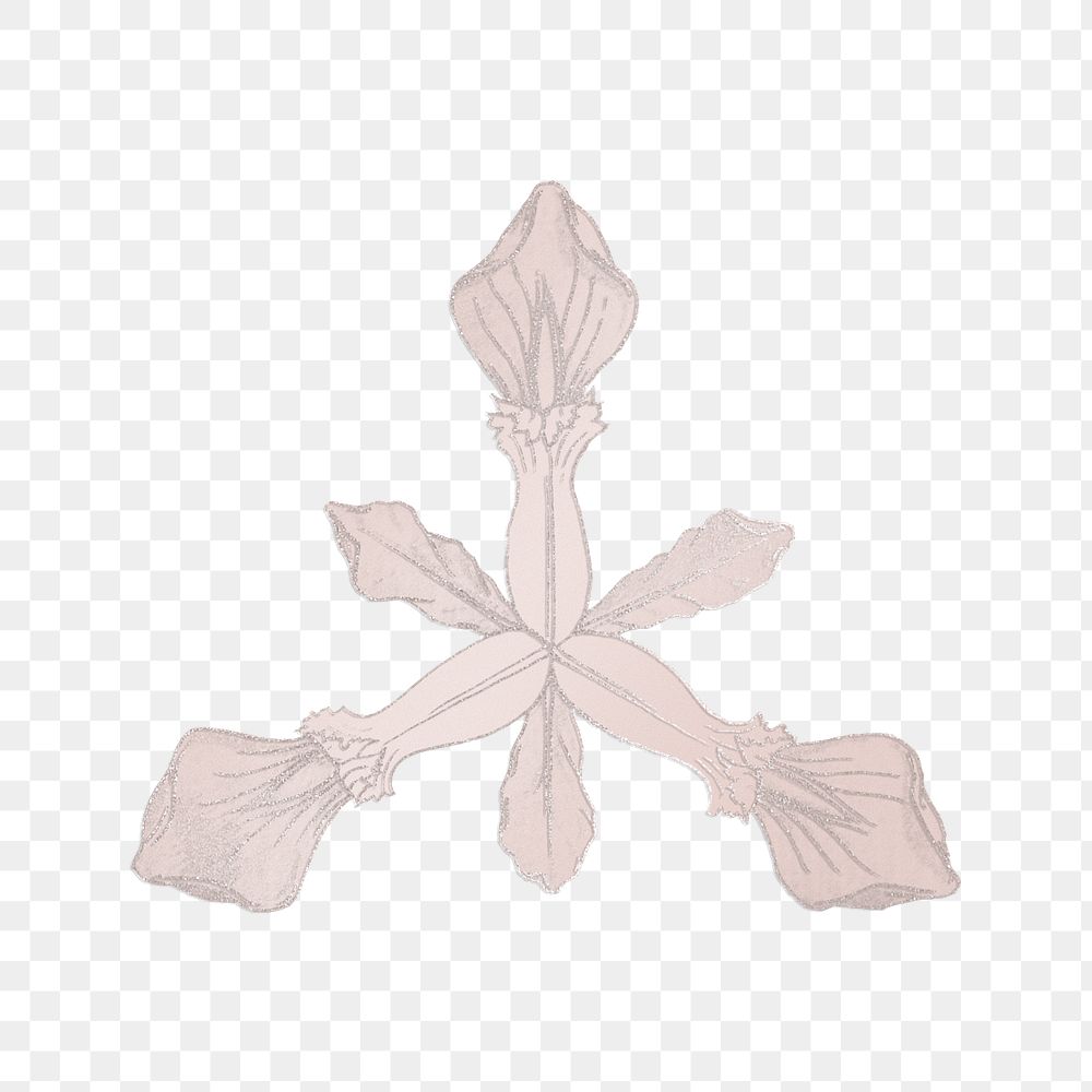 Simple hand drawn iris flower transparent png design element