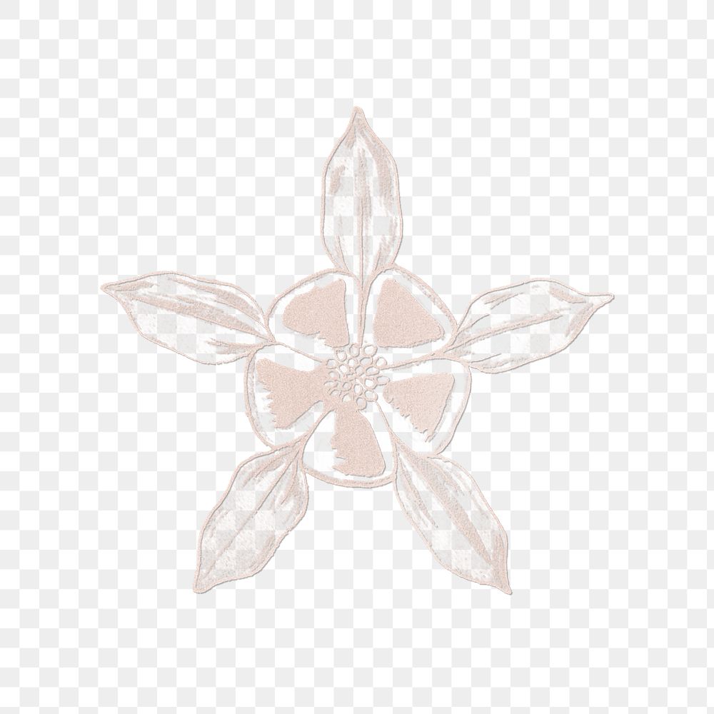 Line drawing columbine flower transparent png design element