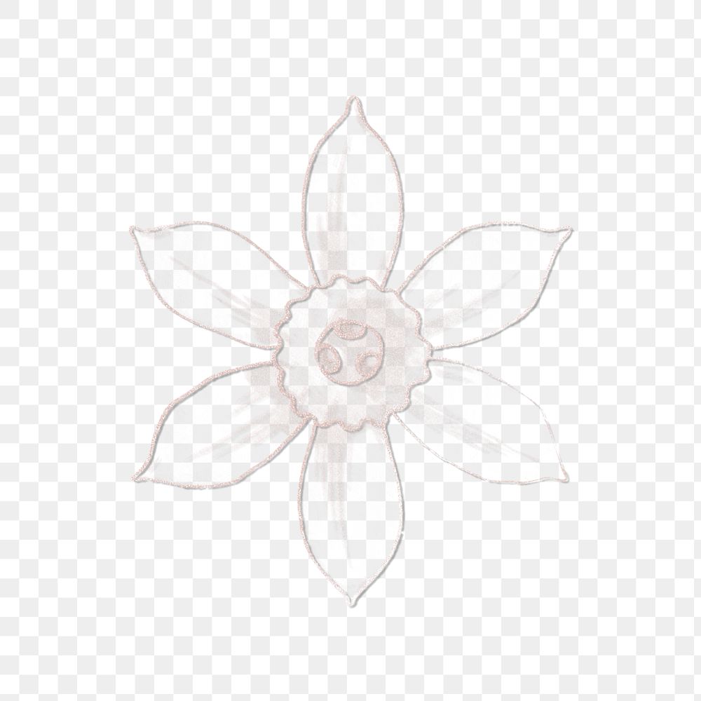 Line drawing jonquil flower transparent png design element