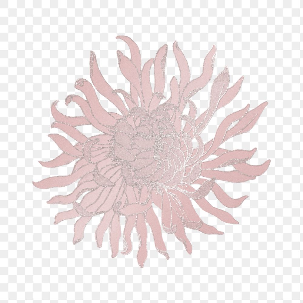 Vintage chrysanthemum flower transparent png design element