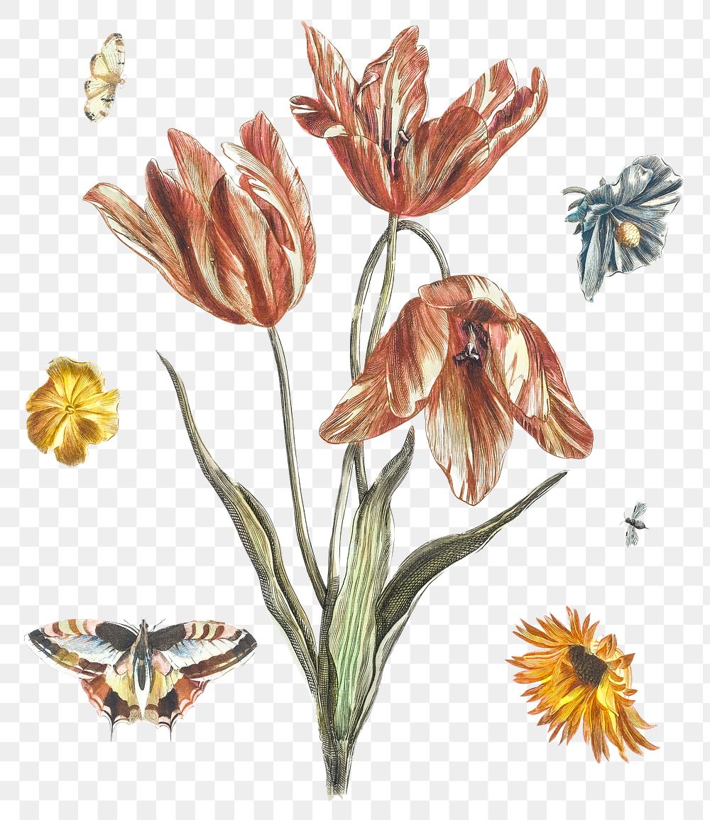 Vintage flower png sticker illustration set