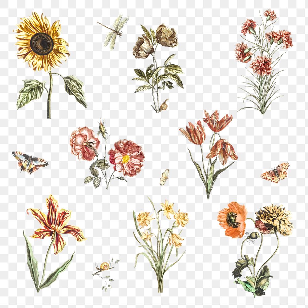 Vintage flower png sticker illustration set