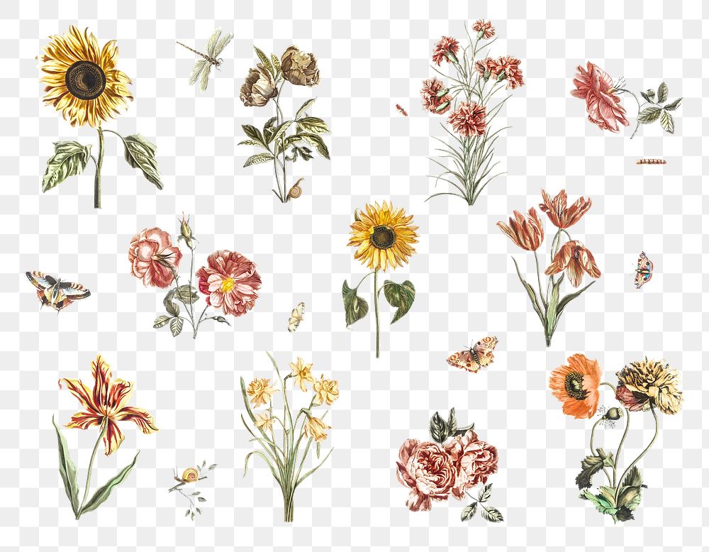 Hand drawn flower png sticker vintage illustration set