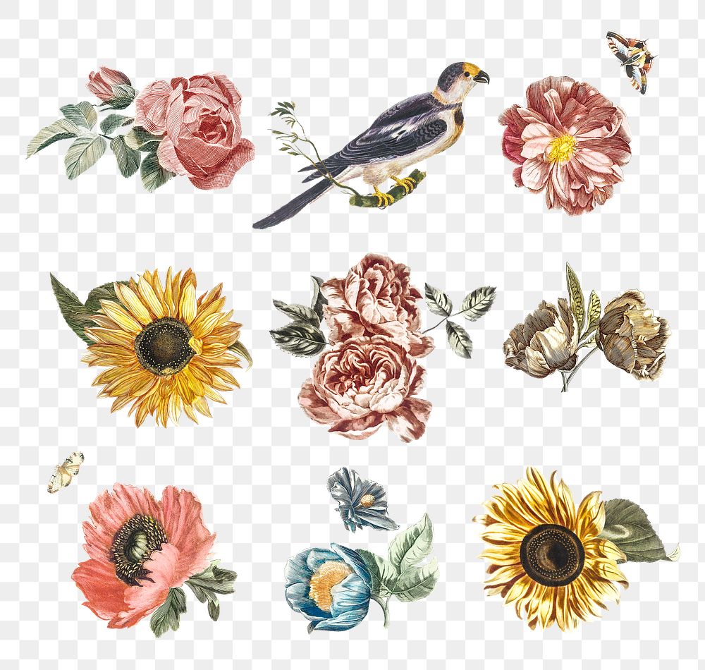 Vintage bird and flower png sticker hand drawn illustration set