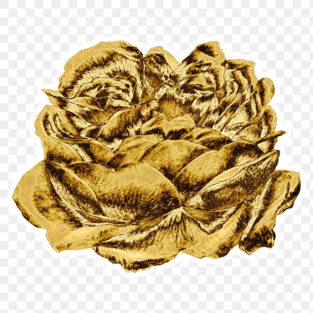 Gold rose flower sticker with white Free PNG Sticker rawpixel