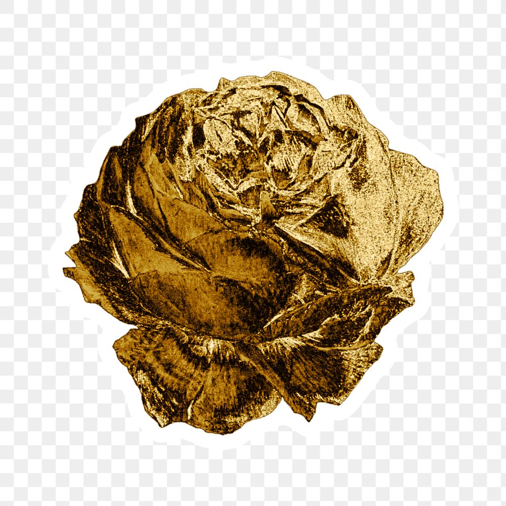 Gold rose flower sticker with white border design element