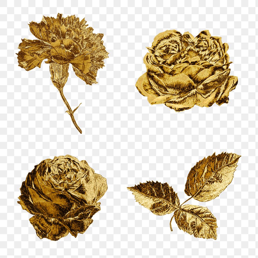 Blooming gold carnation and rose flowers collection design resource