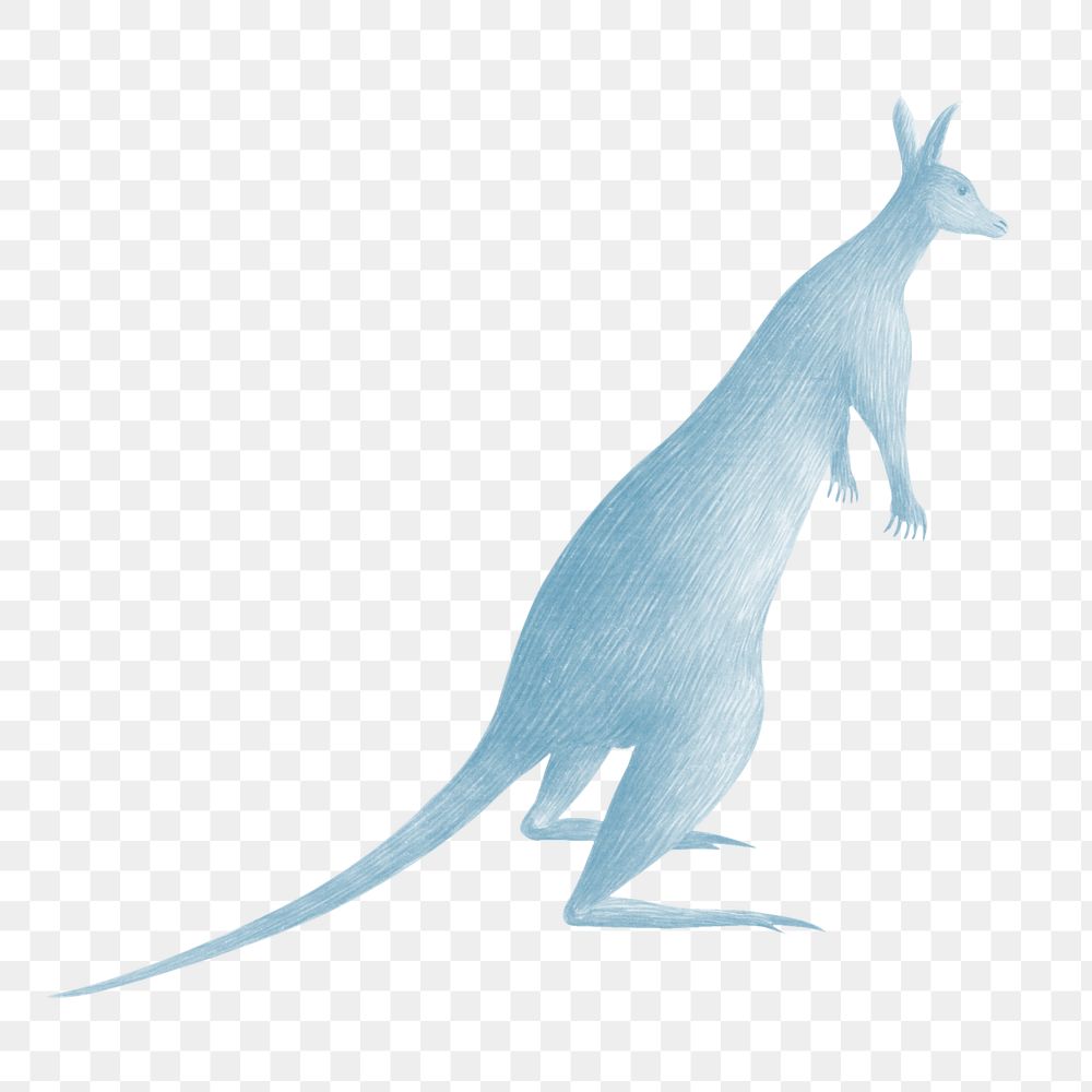 Blue kangaroo vintage illustration transparent png