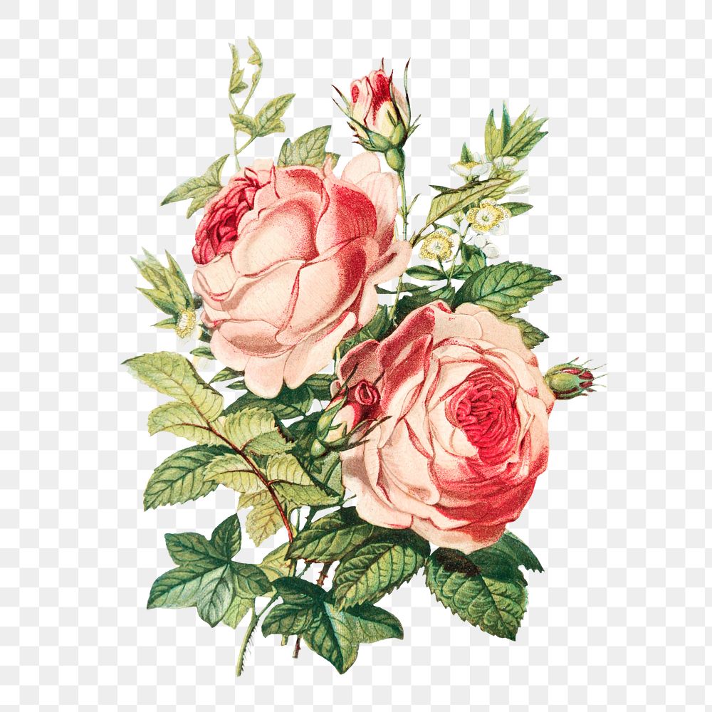 Vintage flower bouquet transparent png