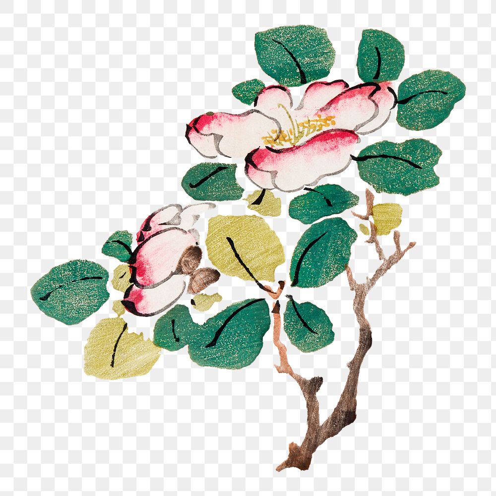 Flower png design element, remixed from artworks by Hu Zhengyan