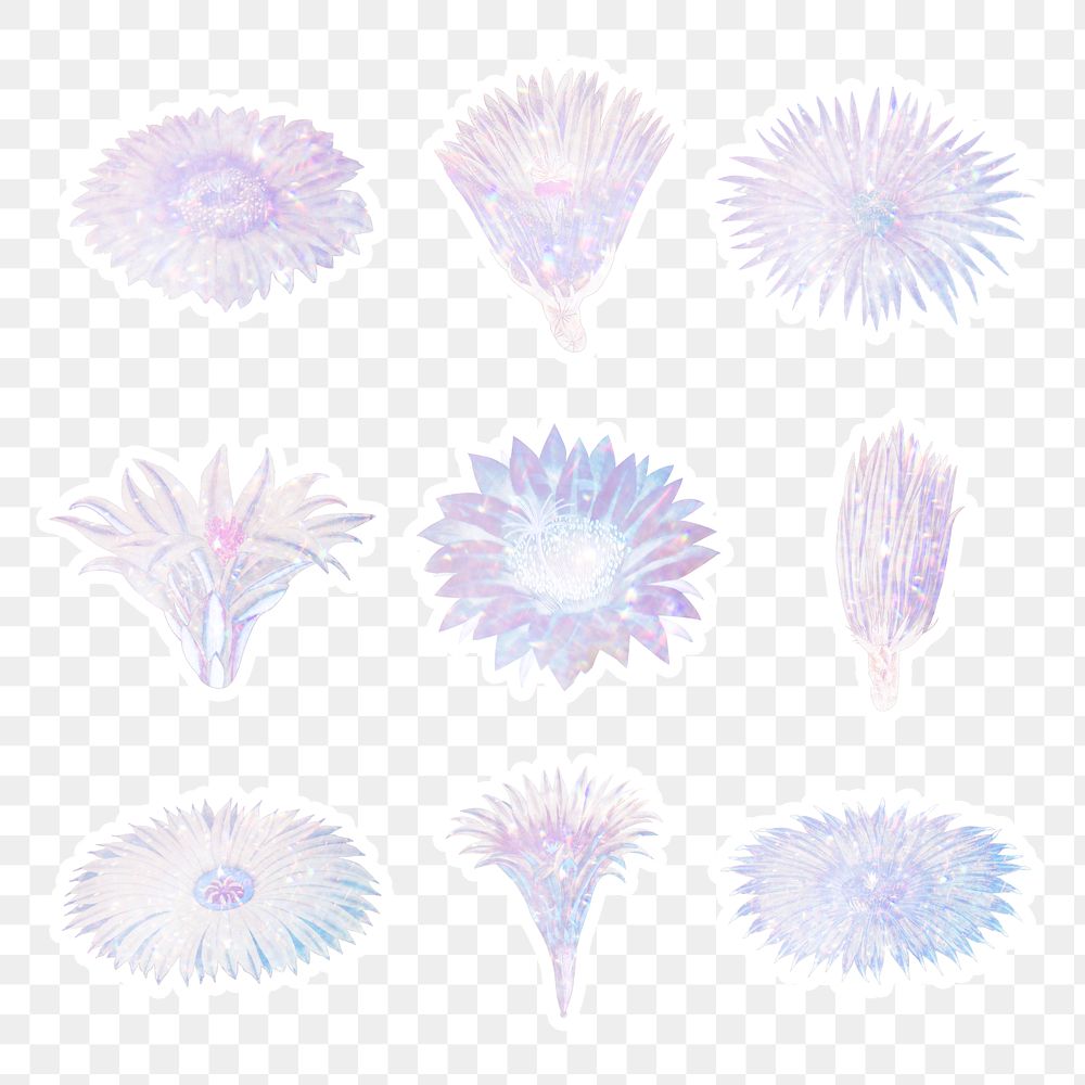 Holographic cactus flower sticker with white border collection