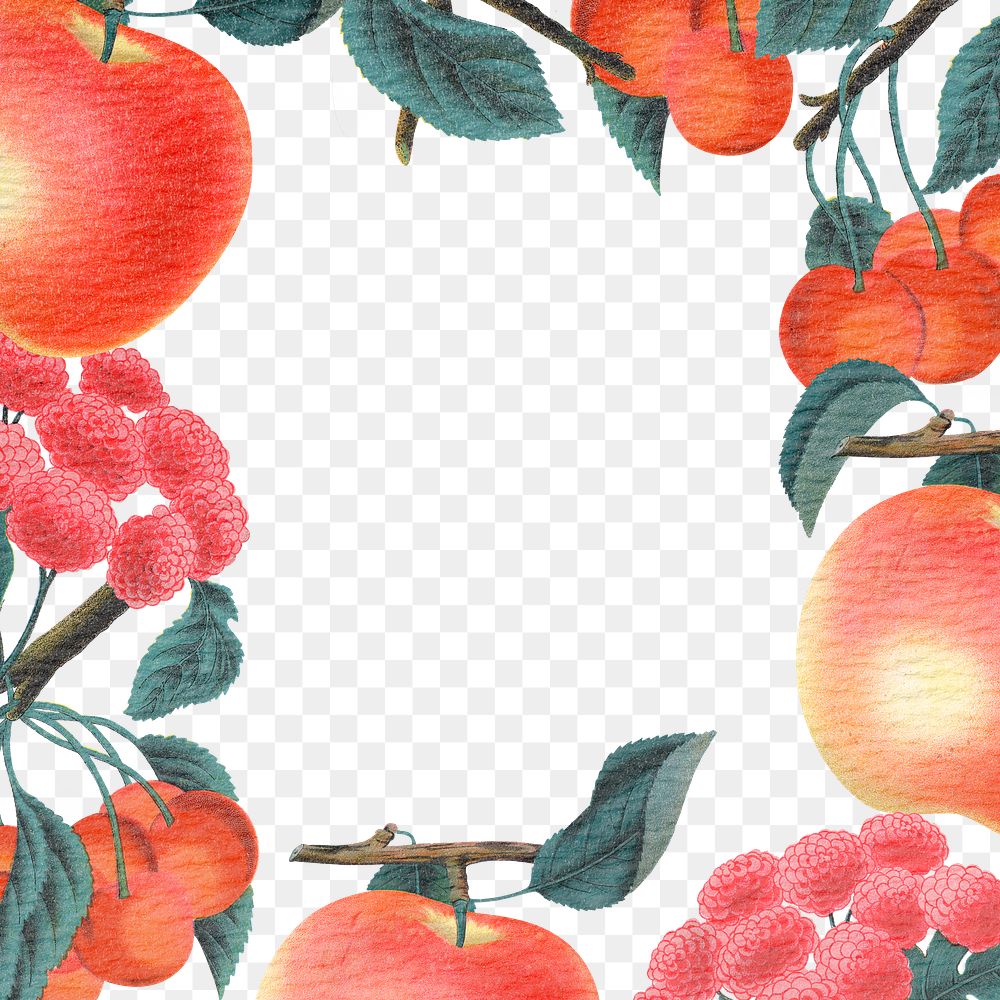 Botanical frame png apple & flower transparent background